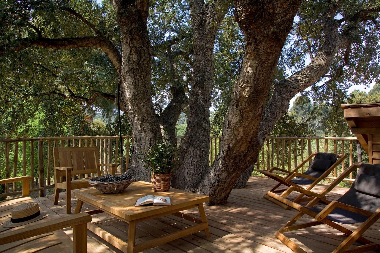 Family Tree House (2 adults + 2 children) - Free Access to Spa and Private Beach
