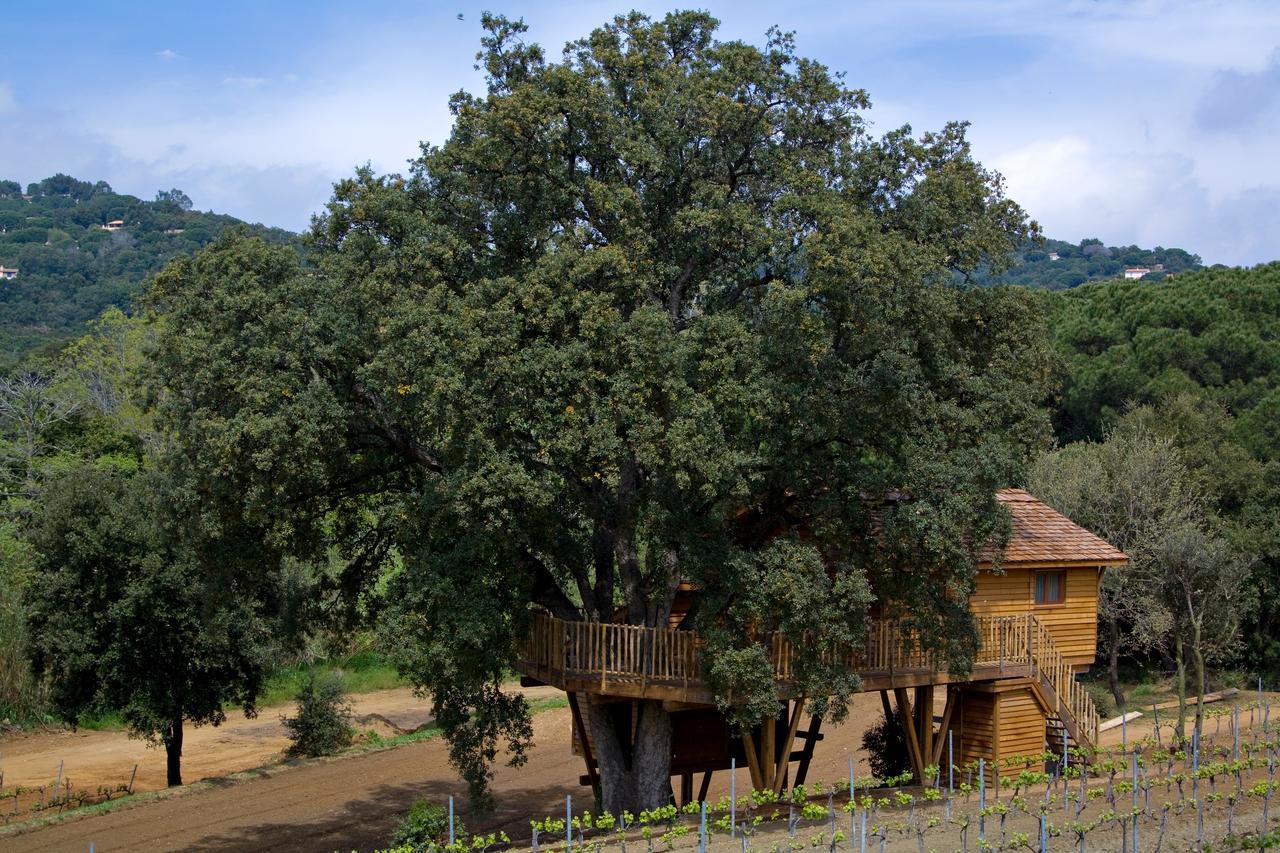 Family Tree House Access to Spa Private Beach,633344628:JPEG